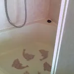 Apartament Anita *